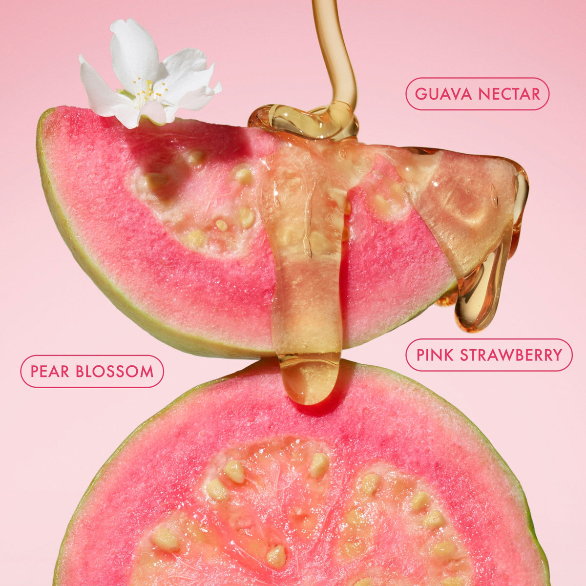 mini-body-butter-trio-h4 BodyButterBalmPinkGuava_3.jpg