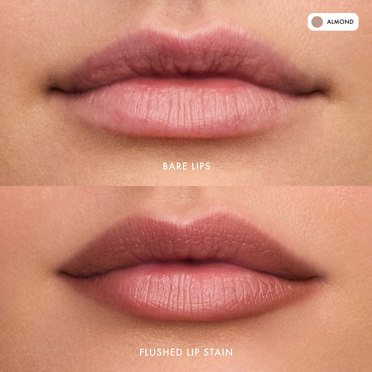 flushed-lip-stain-almond-t5 FlushedLipStain_Almond_B_A.jpg