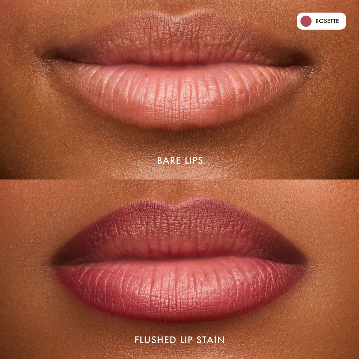flushed-lip-stain-rosette-n2 FlushedLipStain_Rosette_B_A.jpg