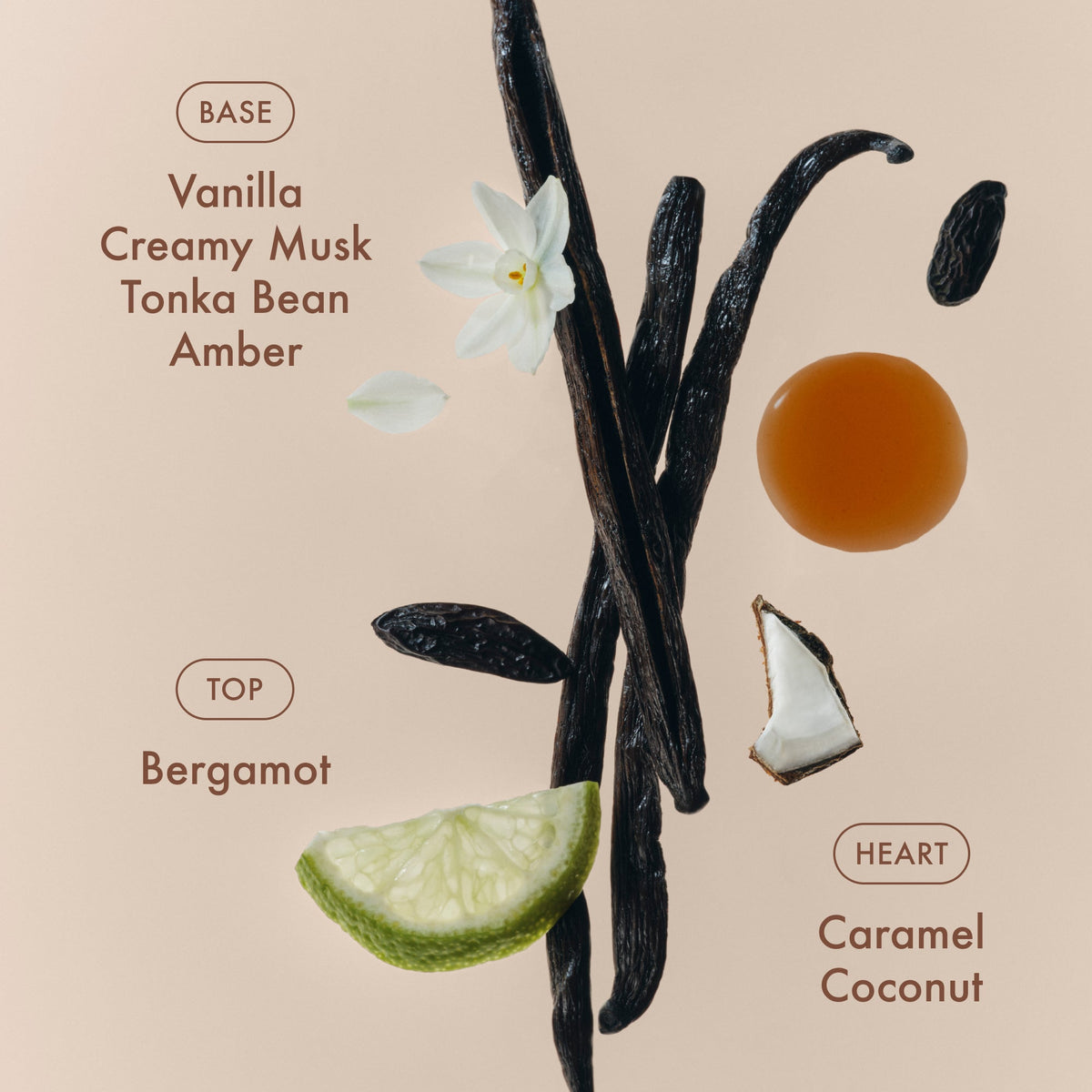 sunlit-vanillatm-eau-de-parfum-b5 SunlitVanilla_4.jpg